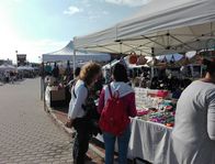 FESTA SULL'AIA Immagine